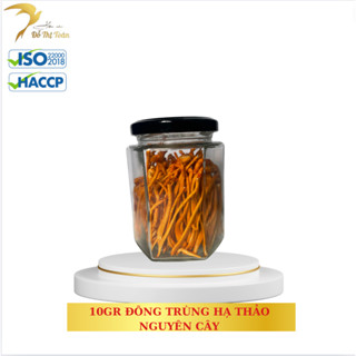  DTT  10 gram đông trùng hạ thảo sấy thăng hoa các loại - Yến sào Đỗ Thị Toán 