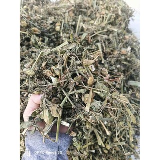 1kg cây tầm bóp ( thù lù lồng đèn ) sấy khô