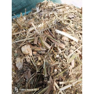 1KG Cây Tầm Bóp ( Thù Lù Lồng Đèn ) Sấy Khô
