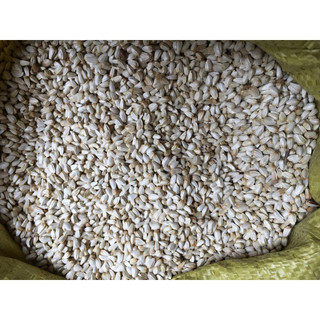 HẠT KHAM TRẮNG 100gam.ngũ cốc