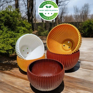  hậu nhựa trồng cây gân sọc nhiều màu sắc trồng hoa cây cảnh trang trí nhà cửa ban công  sân vườn 