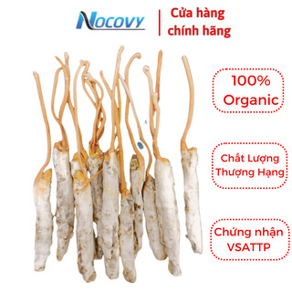 Combo 20 con đông trùng hạ thảo nguyên con sâu tằm Nocovy ( dạng teo )