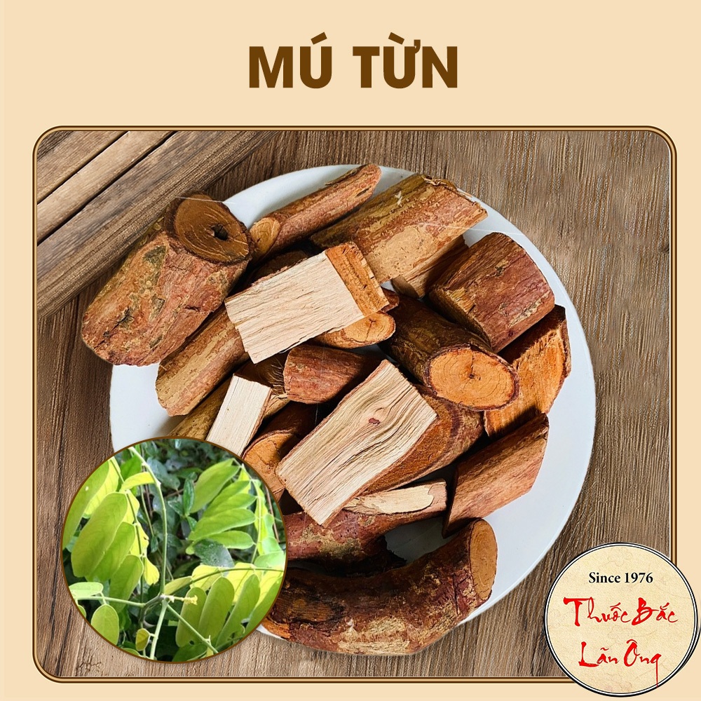 Mú từn 100g, rễ cây mú tửn khô, thơm, sạch, hỗ trợ bổ thận tráng dương, tăng cường sinh lý, mạnh gân cốt