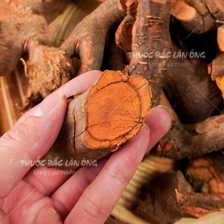 Mú từn 100g, rễ cây mú tửn khô, thơm, sạch, hỗ trợ bổ thận tráng dương, tăng cường sinh lý, mạnh gân cốt