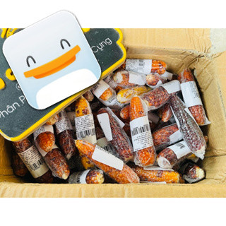 Trái bắp mini mài răng cho hamster
