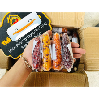 Trái bắp mini mài răng cho hamster