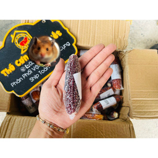 Trái bắp mini mài răng cho hamster