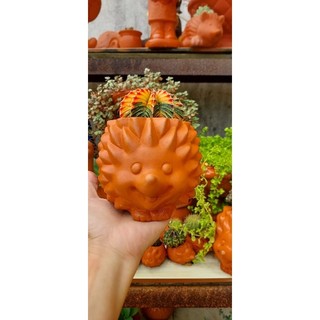 [Mẫu mới]Chậu thú đất nung - chậu nhím nhỏ