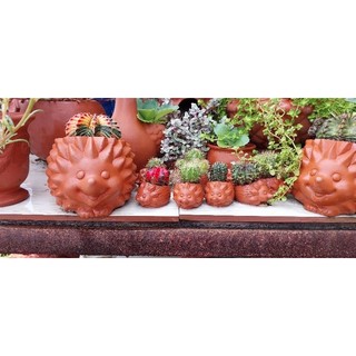 [Mẫu mới]Chậu thú đất nung - chậu nhím nhỏ
