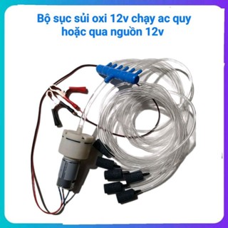 máy sục khí sủi oxi bể cá điện 12v lắp bình ac  quy