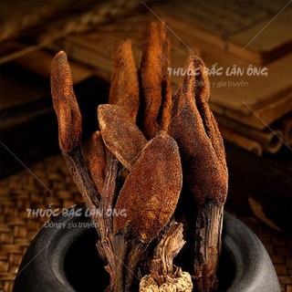 Nấm ngọc cẩu 500g, khô, sạch nguyên búp, bổ thận tráng dương, mạnh gân cốt, tăng cường sinh lý nam