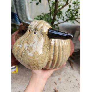  Chậu đất nung - chậu trâu bí tráng men miệng chậu 10cm 