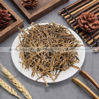Bông mã đề 100g, cây mã đề lợi tiểu hỗ trợ tán sỏi thận, bí tiểu, giảm ho tiêu đờm, ổn định huyết áp