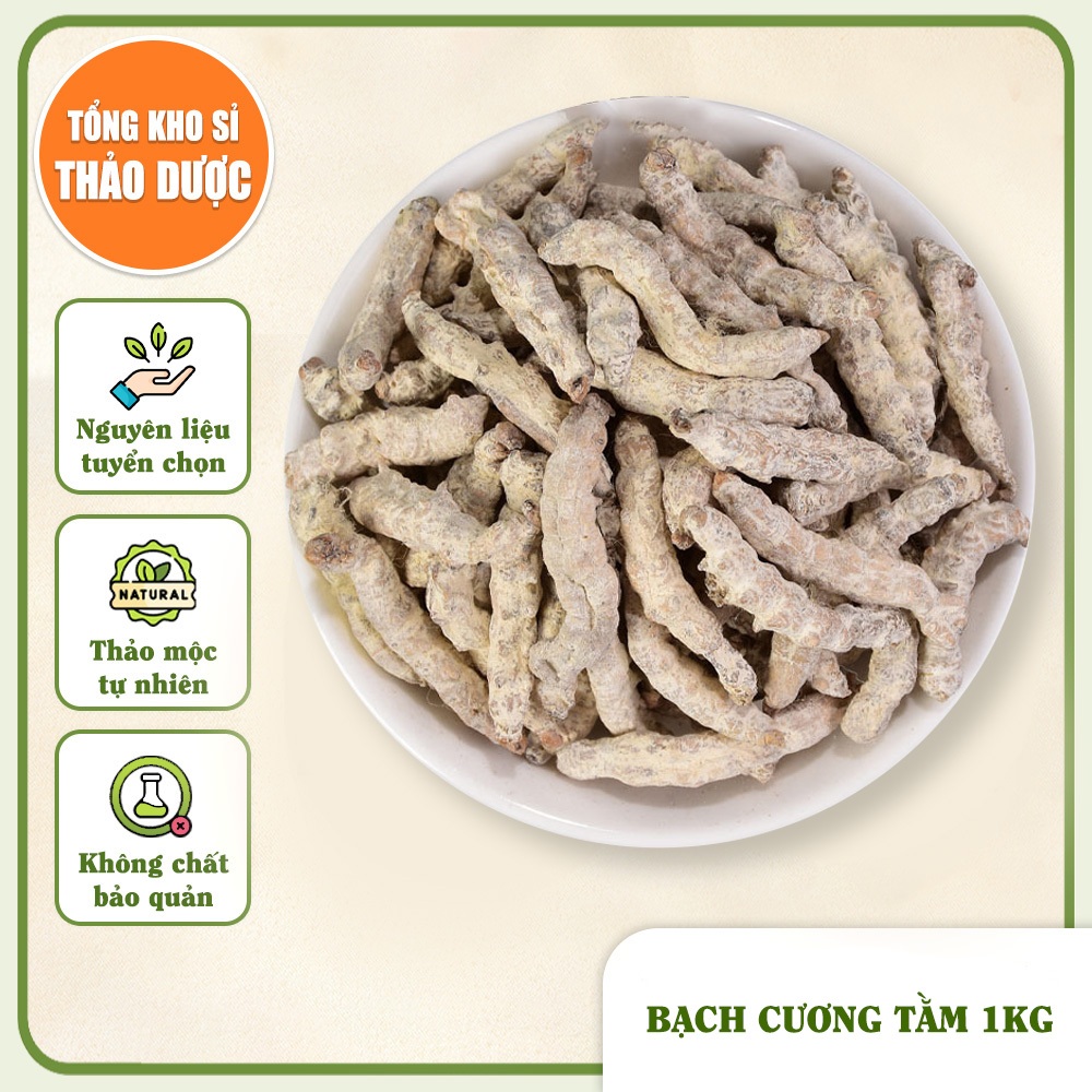 Bạch Cương Tằm 1kg