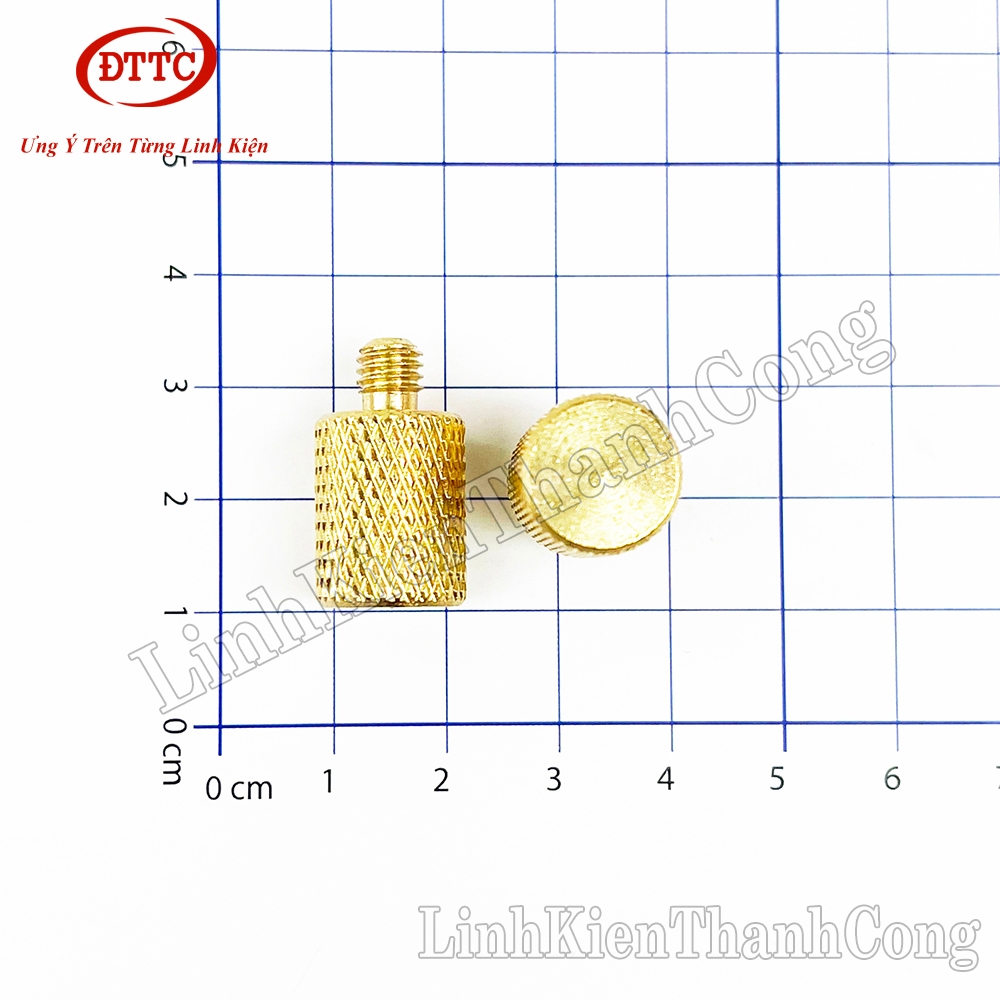 Cọc Đồng Bình Acquy Ren M5 M6 M8