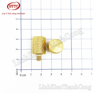 Cọc Đồng Bình Acquy Ren M5 M6 M8