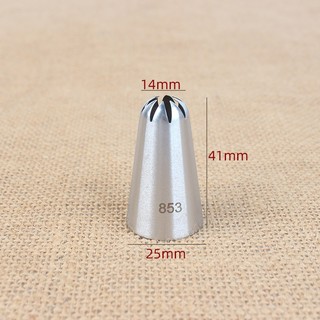 Đui bắt kem, đui 853