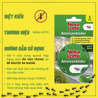 Diệt kiến gián NEXA LOTTE x AEROXON không mùi, tiện dụng, an toàn cho trẻ em và thú cưng