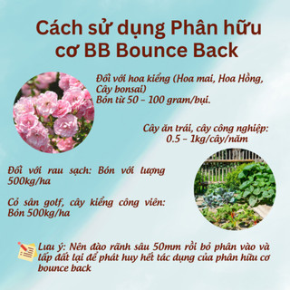 (Combo 2 gói) Phân hữu cơ BB Bounce Back nhập khẩu Úc gói 1kg (Vườn Sài Gòn)