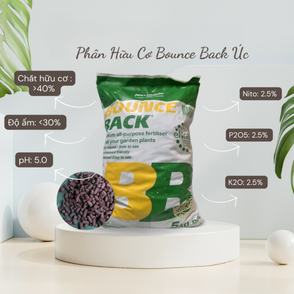 (Combo 2 gói) Phân hữu cơ BB Bounce Back nhập khẩu Úc gói 1kg (Vườn Sài Gòn)