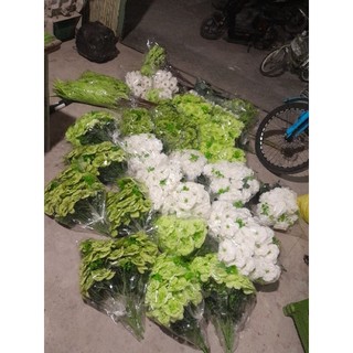 Bông Cúc Râu (size 12cm) - Trang Trí decor, giỏ hoa ,giỏ quà