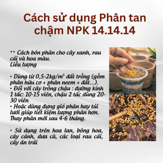 Phân chì vàng tan chậm NPK 14.14.14 gói 500gr (Vườn Sài Gòn)