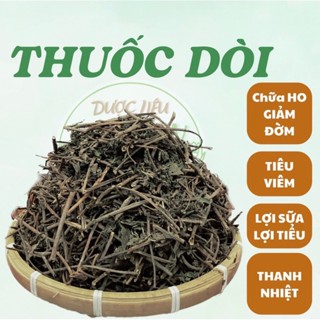 Cây Thuốc Dòi 1kg (Cây bọ mắm) Loại Tím sấy khô giúp Thanh Nhiệt, Trừ Ho, Giảm Đau Họng -