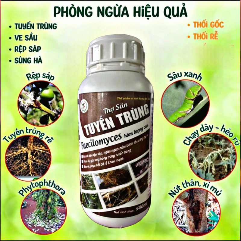 Thợ Săn Tuyến Trùng rễ ,vàng lá thối rễ , sưng rễ ,bướu rễ
