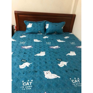 (2m×2m2 )ga trần bông kích thước 2m×2m2
