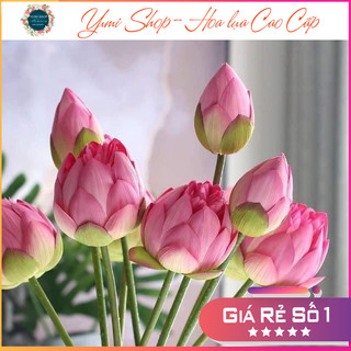  Cành Hoa Sen giả  cao cấp- BÔNG SEN QUAN ÂM   Giống thật 99%  - trang trí decor nhà cửa bền đẹp 