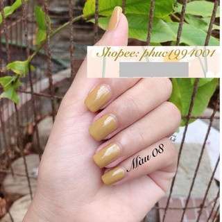 Sơn móng tay Lady Dream 12ml (sơn thường)
