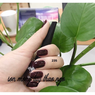 Sơn móng tay Lady Dream 12ml (sơn thường)