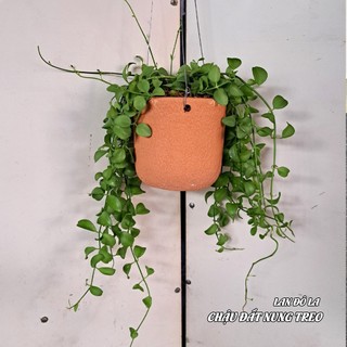 Chậu đất nung treo trồng cây 14x13cm