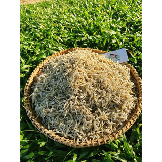 KHÔ CÁ CƠM MỜM SỮA đạt chuẩn xuất khẩu 500gr - ĐẶC SẢN NHA TRANG