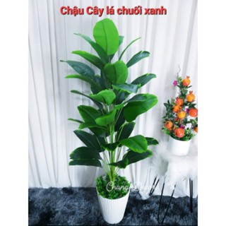 Cây giả decor, Cây trầu bà giả , cây chuối , vạn niên thanh cao 1m3 cây giả trang trí nhà cửa, văn phòng
