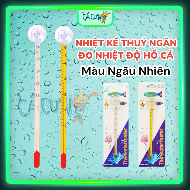 Nhiệt Kế Thuỷ Tinh cho Hồ Cá - Nhiệt kế thuỷ ngân nhỏ gọn tiện lợi (Hàng Công Ty)