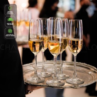 Ly rượu sâm panh thủy tinh Ocean Madison Flute Champange - 210ml - 15F07