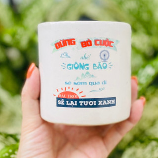  Chậu Sứ LASE GARDEN Trồng Sen Đá Xương Rồng Cây Cảnh Mini Để Bàn In Hình Họa Tiết Trụ 8x8 