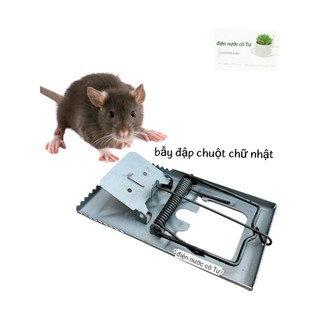 2 miếng keo dính chuột USA