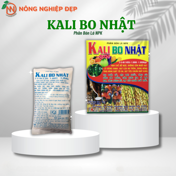 Kali Bo Nhật – Phân Bón Lá NPK-2-3-40-14 SO3-1.000B-1.000MgO - Hạn Chế Đổ Ngã, Không Còn Muối Hạt