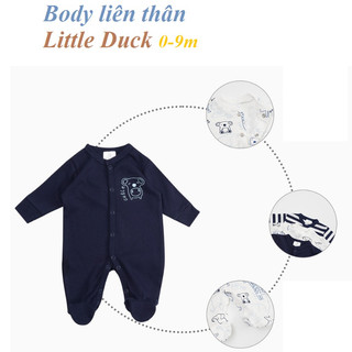 Set 3 body Little Duck