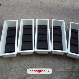 6 chậu nhựa trồng cây thông minh ban công sân vườn