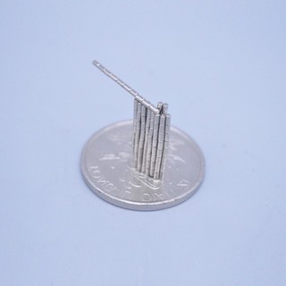 Nam châm trắng siêu nhỏ 2x1mm