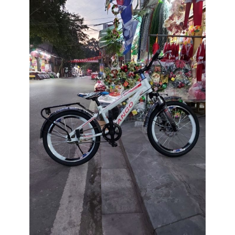 Xe Đạp 20 Inch Giảm Sóc, Phanh Đĩa Tango Dành Cho Bé Trai Khung Chắc Khỏe