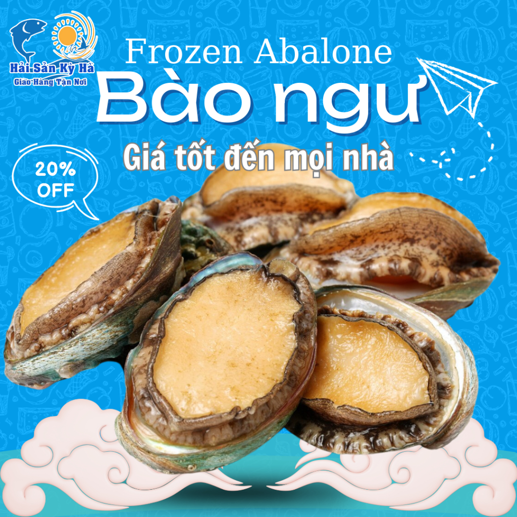 (Giá Sỉ) Bào Ngư Size 18 Con - Q12