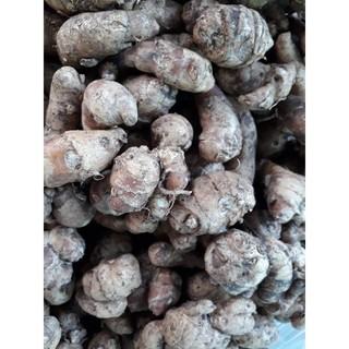 địa liền (sá kếng) 500g