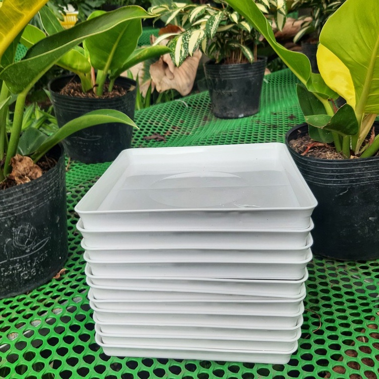 Dĩa lót chậu vuông 18cm (dĩa nhựa,màu trắng)