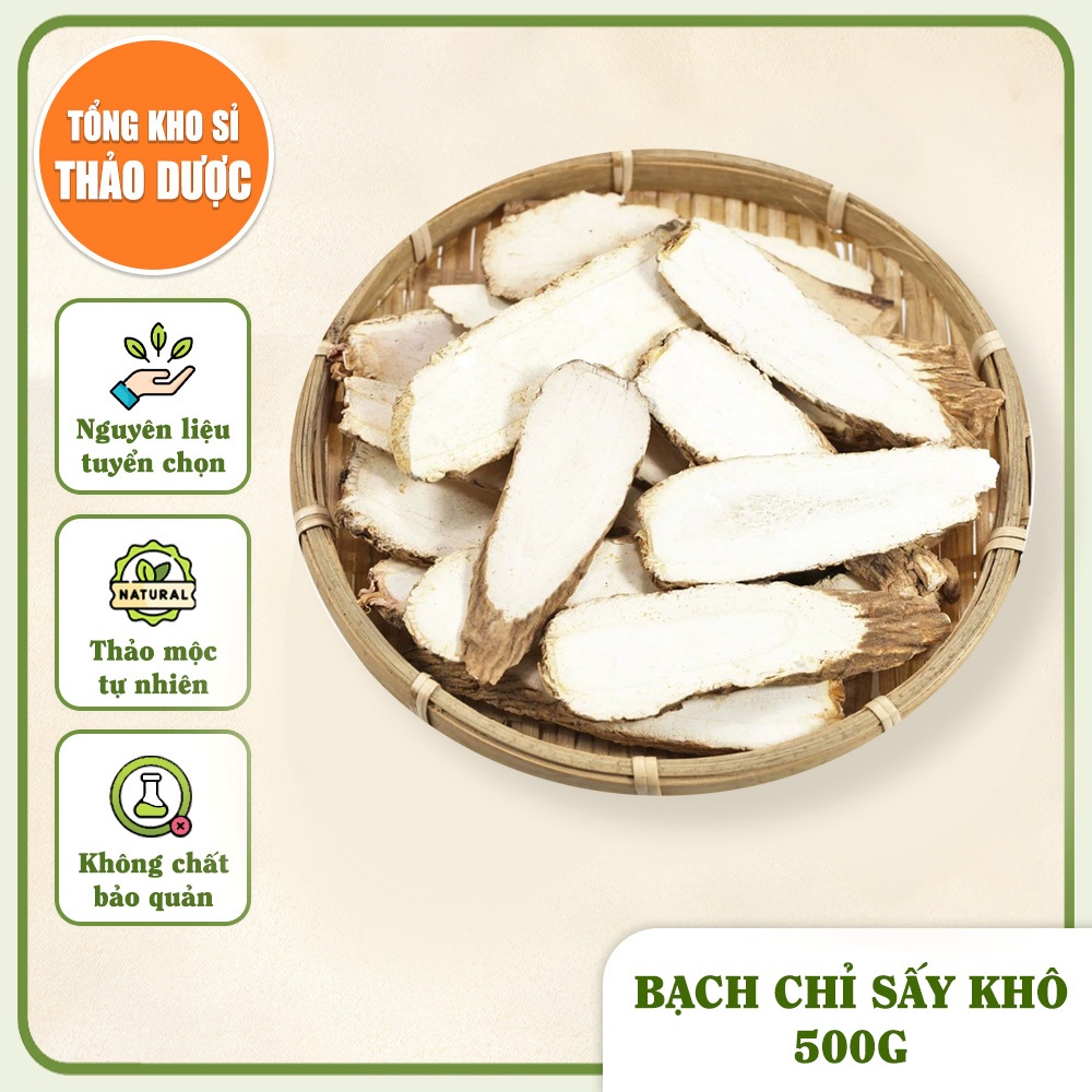 Bạch chỉ 500g, củ bạch chỉ khô thái phiến mỏng, thơm, sạch, không tẩy trắng - Tổng Kho Sỉ Thảo Dược