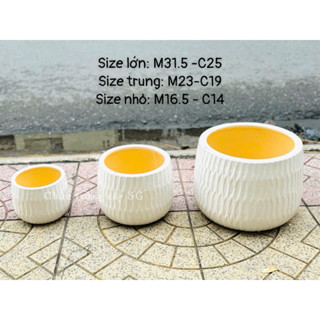  Hoả tốc SG - Chậu trồng cây chậu gốm dáng bầu thấp dùng để trồng cây trồng lan hồ điệp 