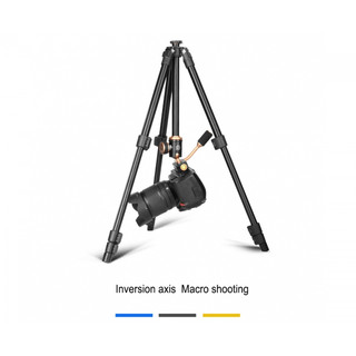 CHÂN MÁY ẢNH TRIPOD BEIKE Q160S + QUÀ TẶNG